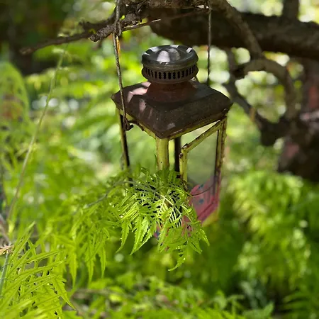 Garickina Kuca Пирот