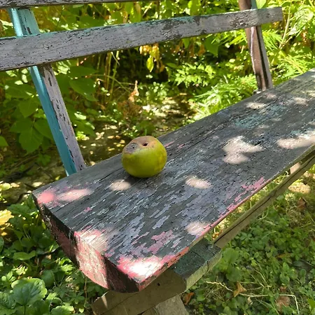 Garickina Kuca Lägenhet