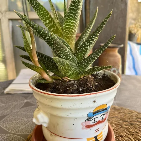 Lägenhet Garickina Kuca