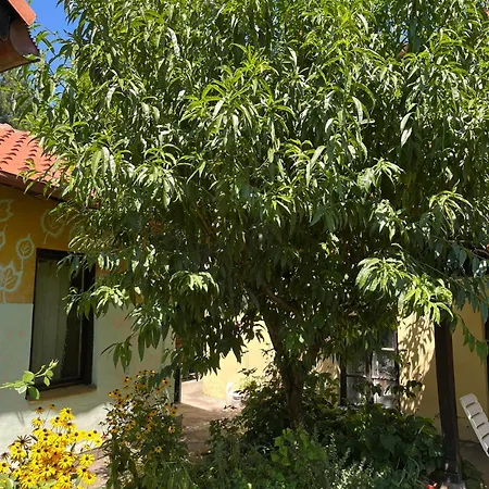 Апартаменты Garickina Kuca Пирот