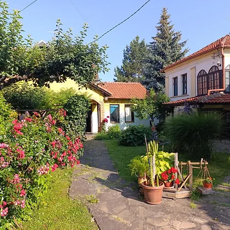 Garickina Kuca 아파트 피로트